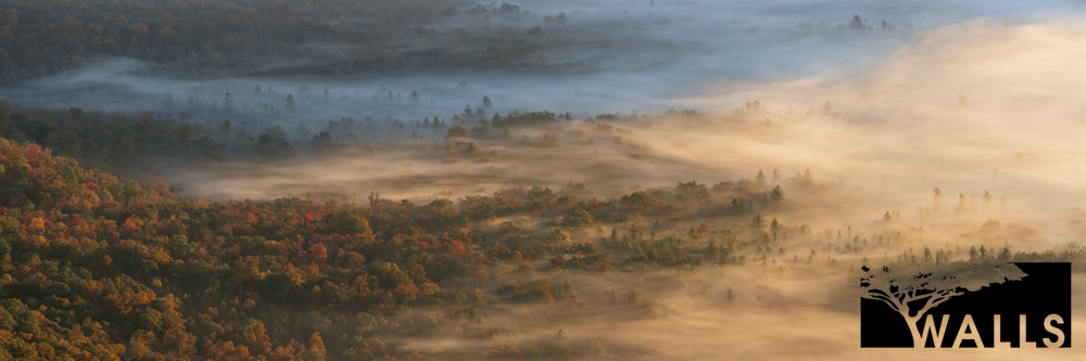 Landscape Portfolio Walls Fine Art Gallery