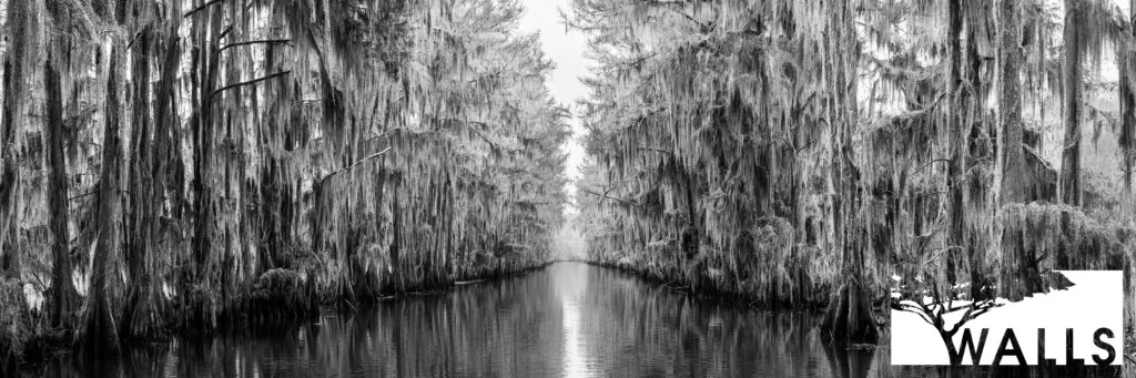 Black and White Portfolio Walls Fine Art Gallery