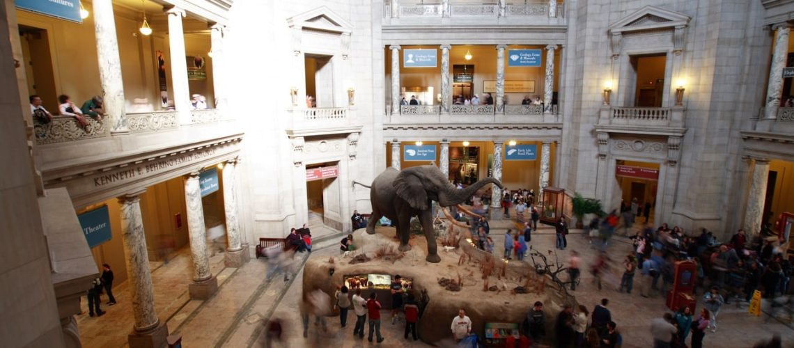 Smithsonian IMG_3775